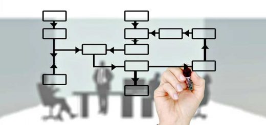 estructura organizacional